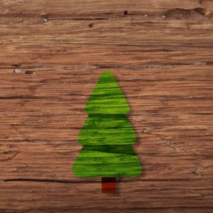 175-200cm Nordmanntanne