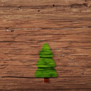 150-175cm Nordmanntanne