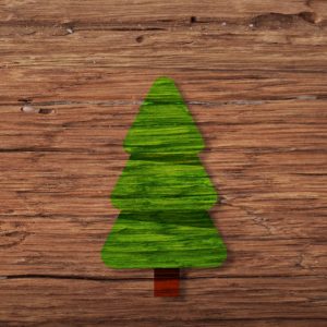 200-225cm Nordmanntanne