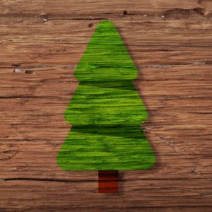 225-250cm Nordmanntanne